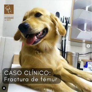Clinica-Veterinaria-Maracay