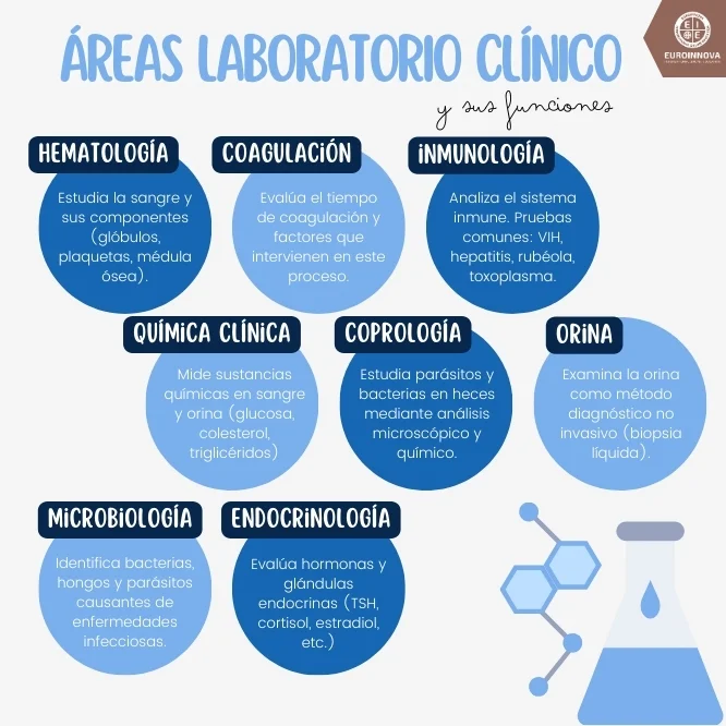 areas-de-un-laboratorio-clinico-y-sus-funciones_1744798249-1
